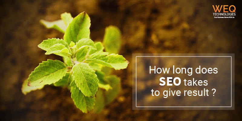 How long does SEO takes to give results