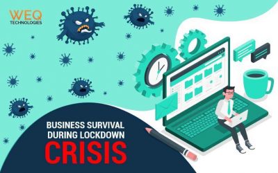 Business Survival During Lockdown Crisis